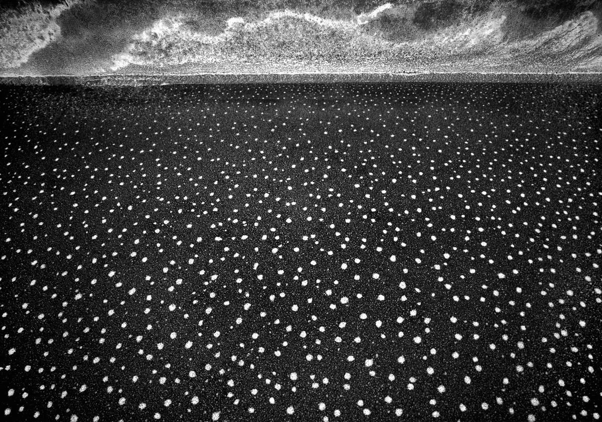 Paisaje de Óxido en Metal. 2009