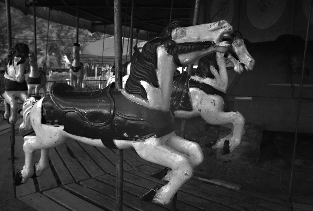 Caballitos de Carrusel, Hato del Yaque. 2010