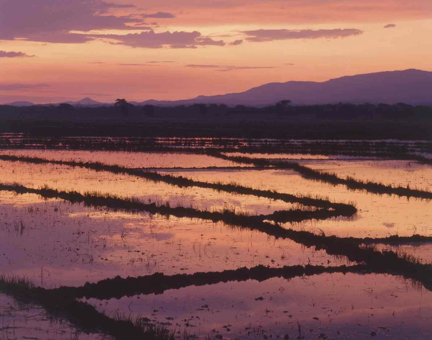 Atardecer de Mao. 2006
