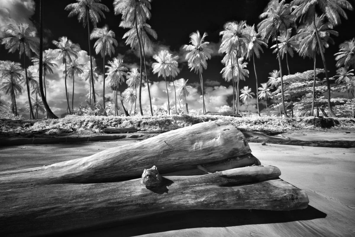 Costa de Nagua. 2009