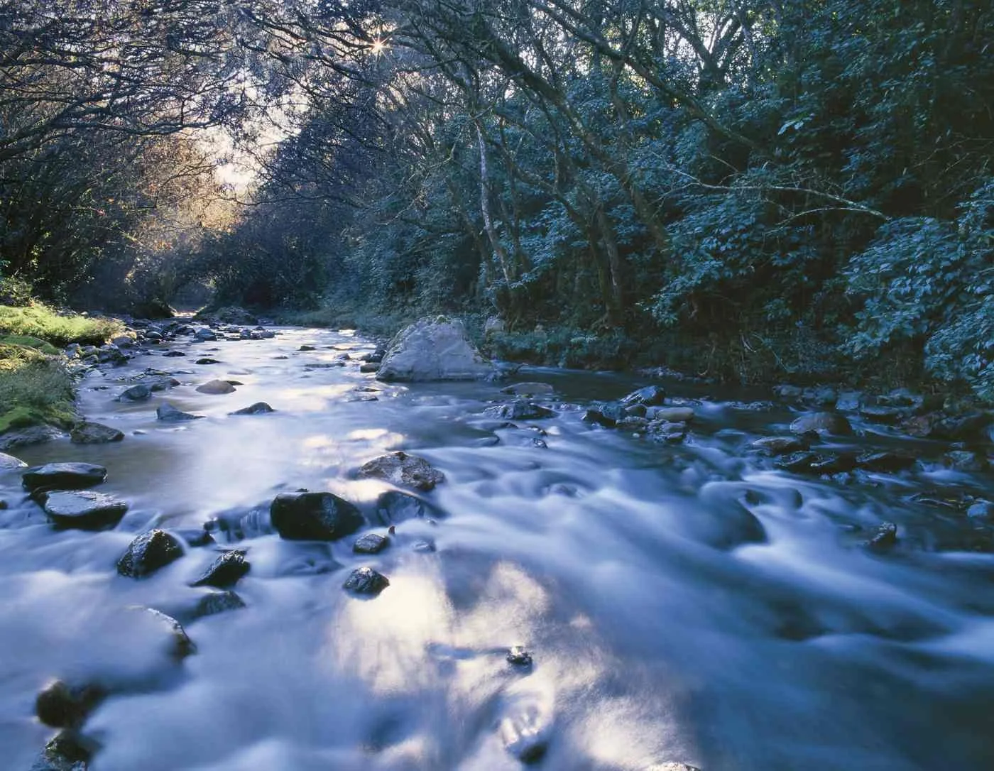 Río Dajao, Las Manaclas. 2007