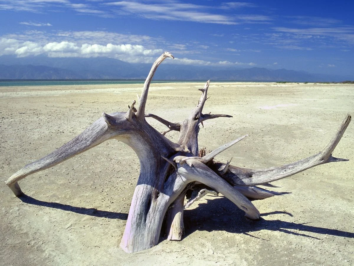 Lago Enriquillo.  2012