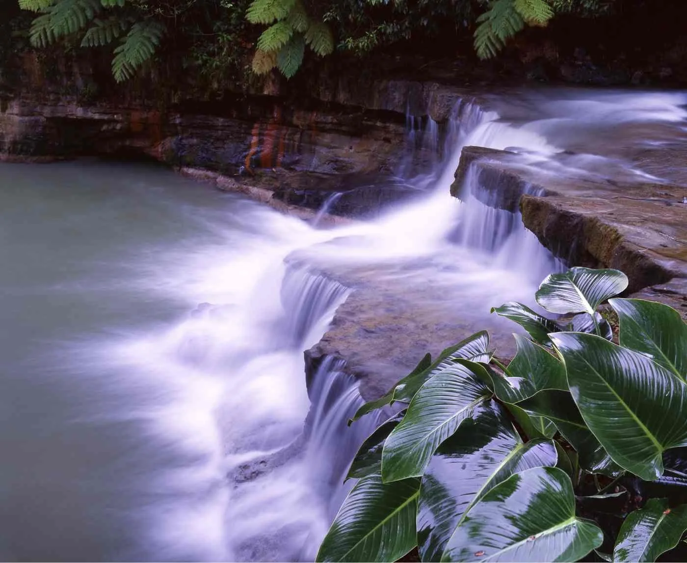Río Yanigua, El Valle, Sabana de la Mar. 2007