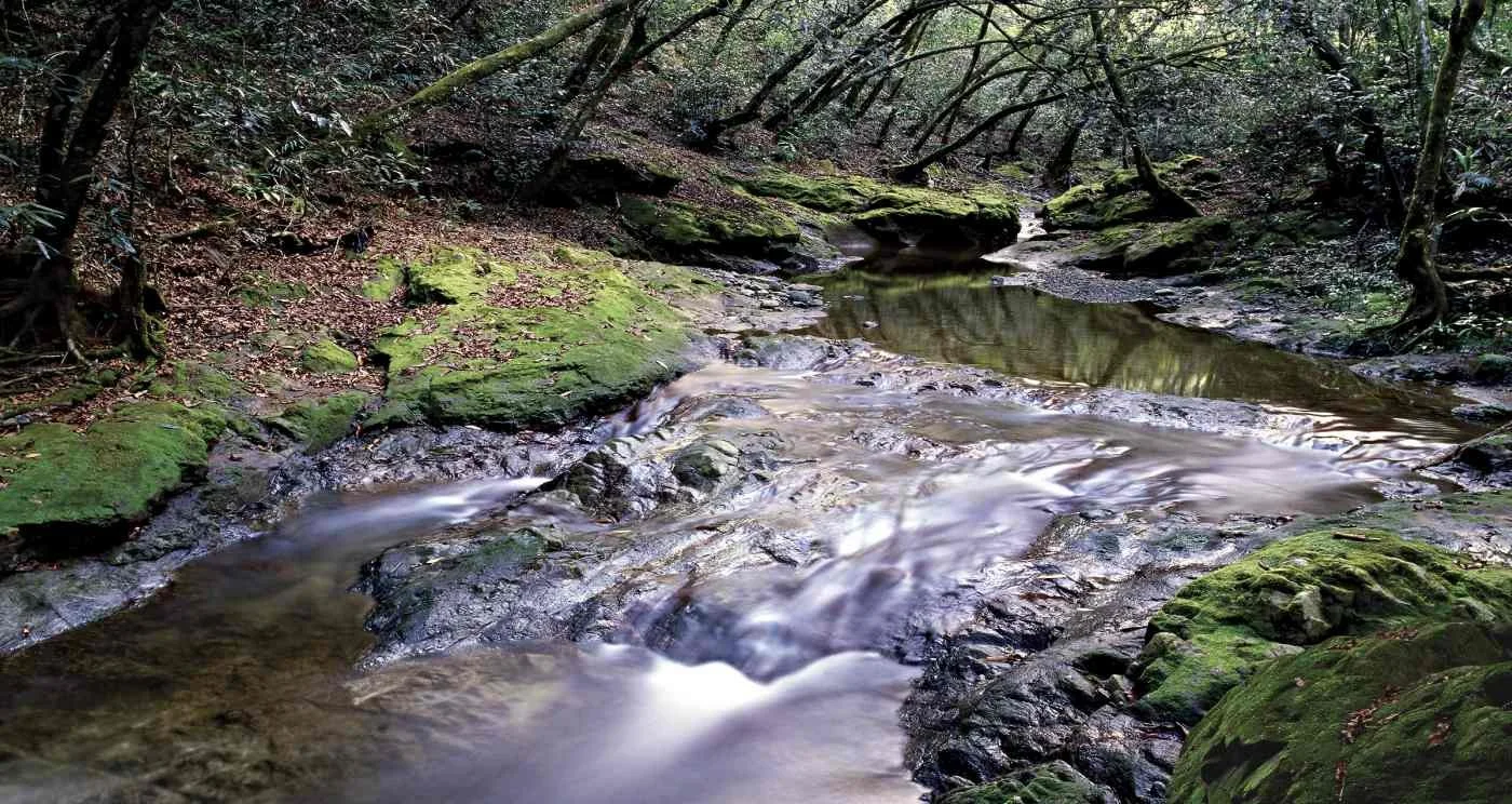 Río Yerba Buena, Inoa. 2005
