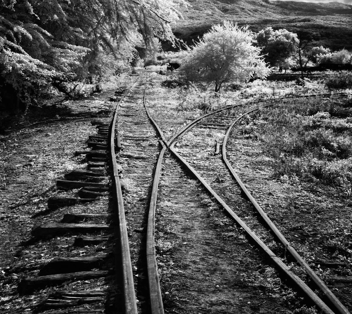 Rieles del Ingenio Barahona. 2010