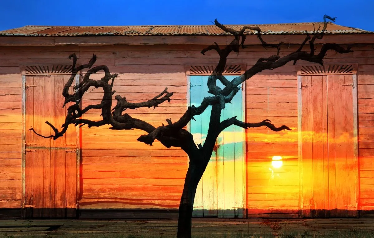 Por Álla, por Hatillo Palma. 2013