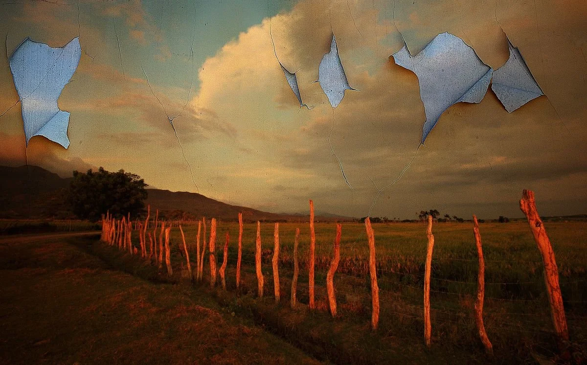 Paisaje Alterado, Esperanza. 2019