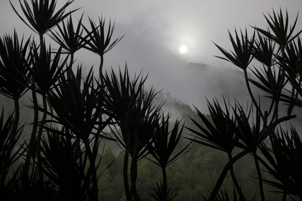 Noche de Luna en Manabao. 2014