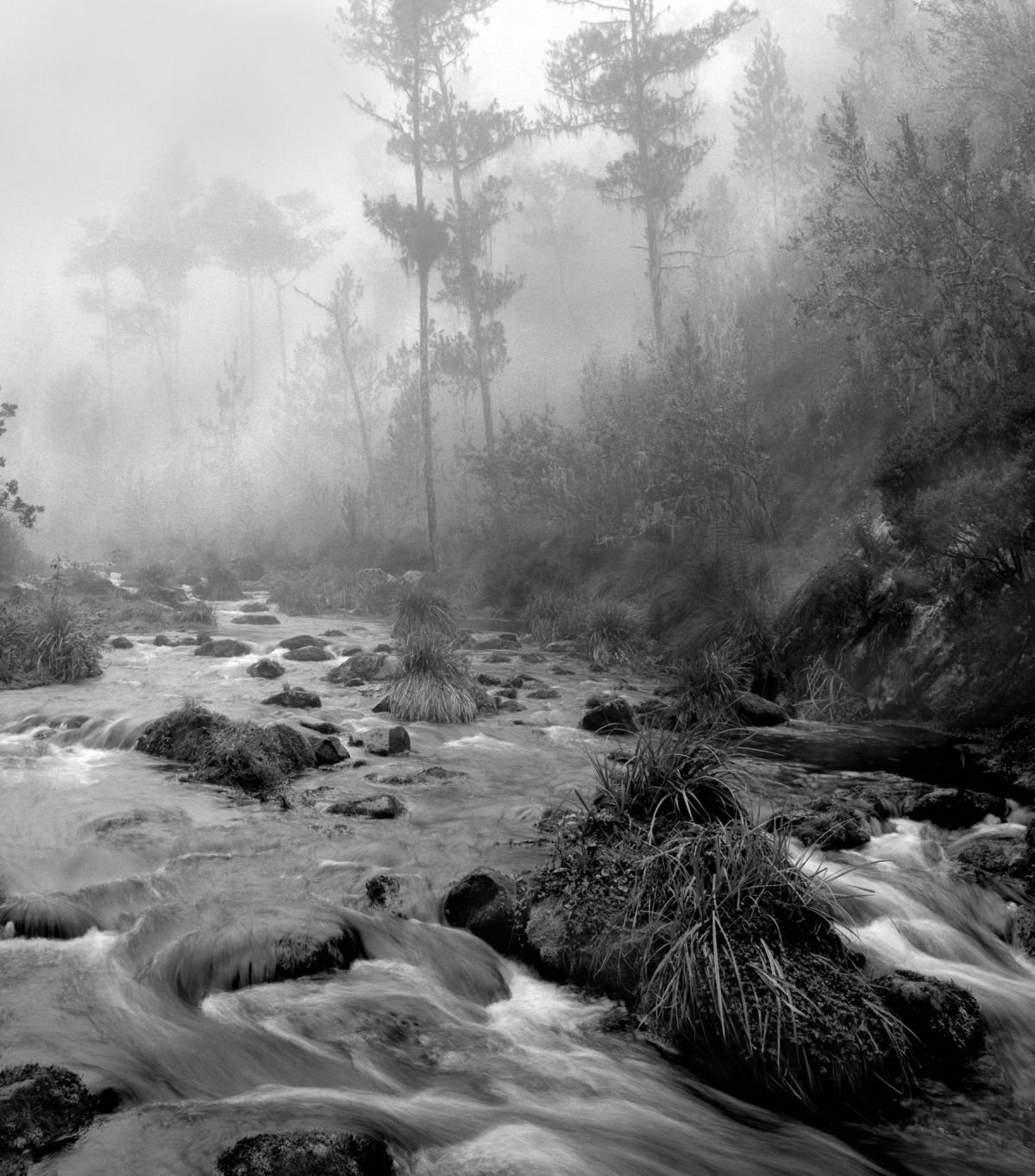 Río Bao en el Valle de Bao. 1988