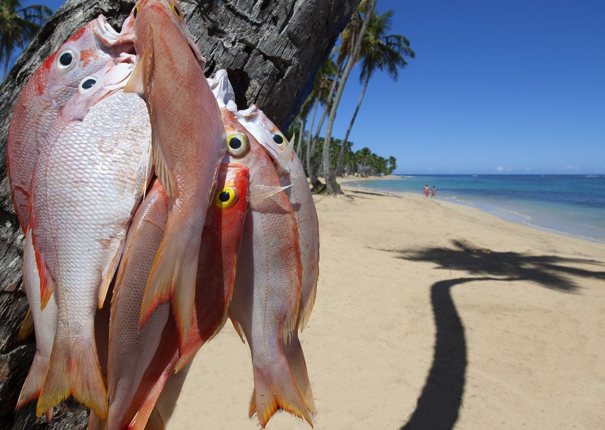 Frutos del Mar, Las Terrenas. 2009