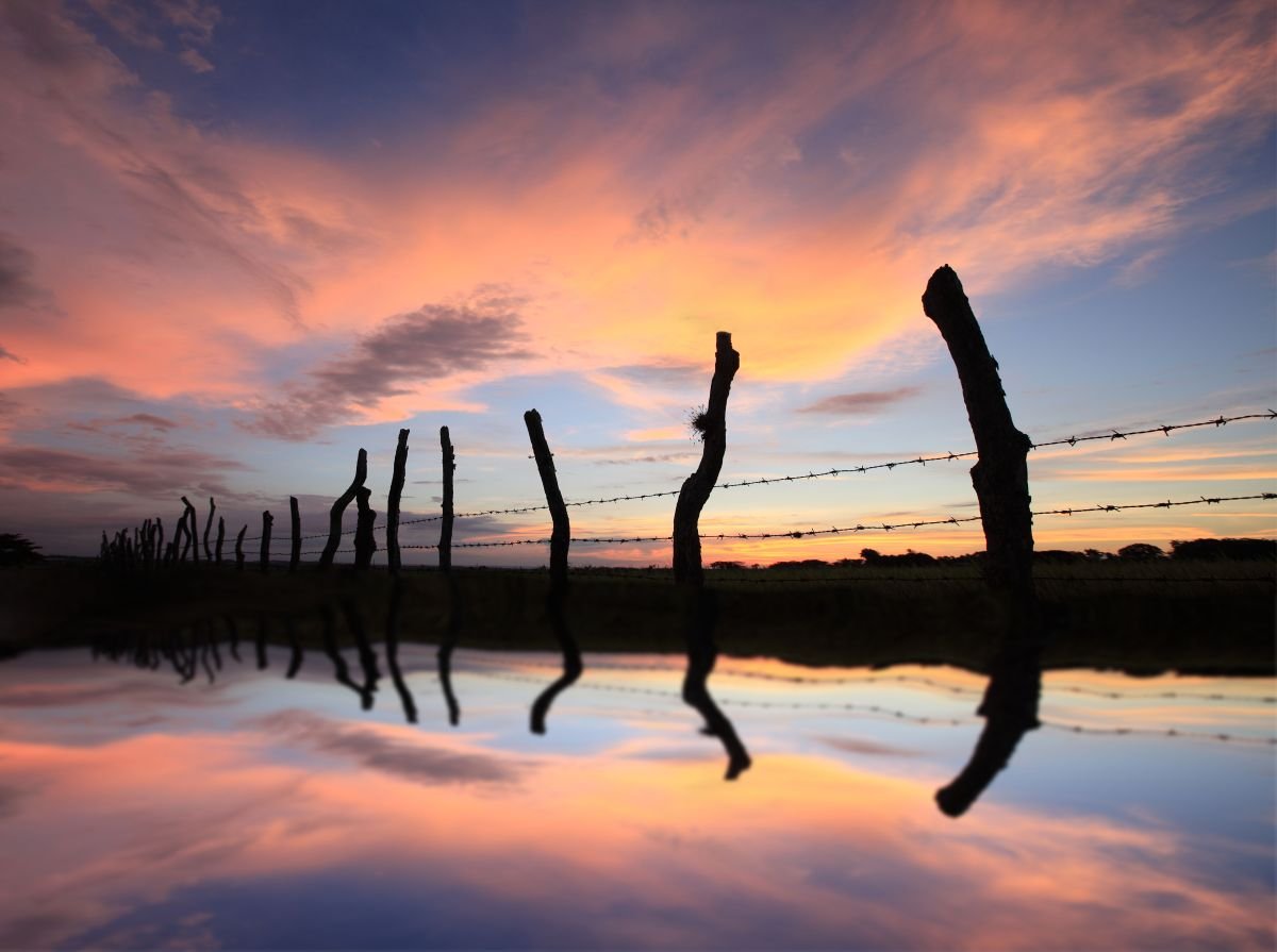 Homenaje a la Luz de Jicomé 2. 2012