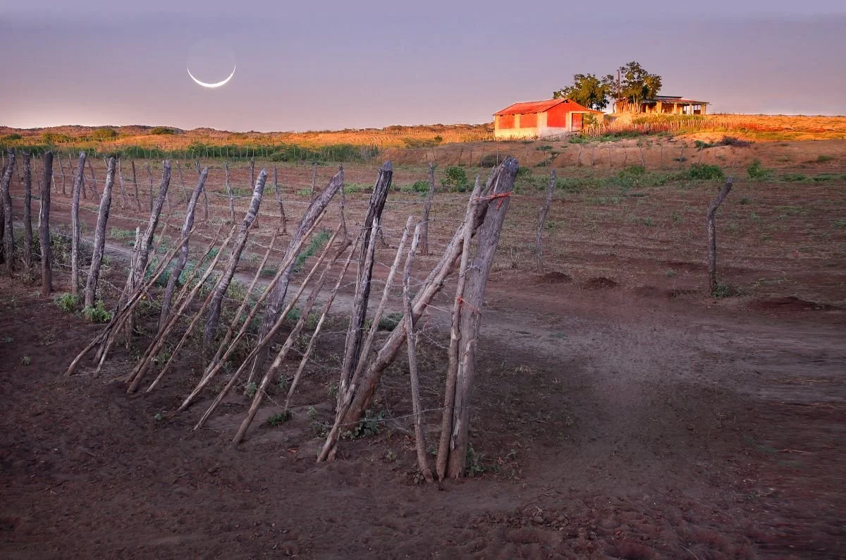 Luna Nueva, Villa Vásquez. 2019