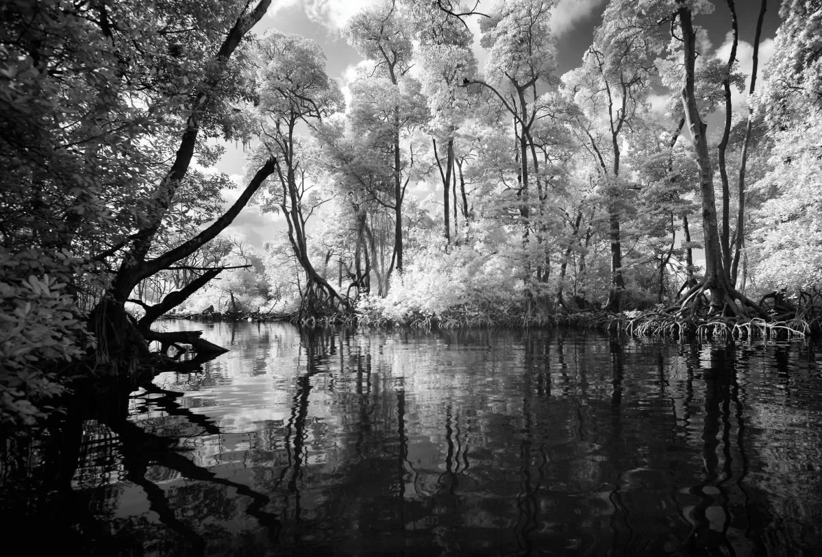 Laguna Gri-Gri, Río San Juan 1. 2009