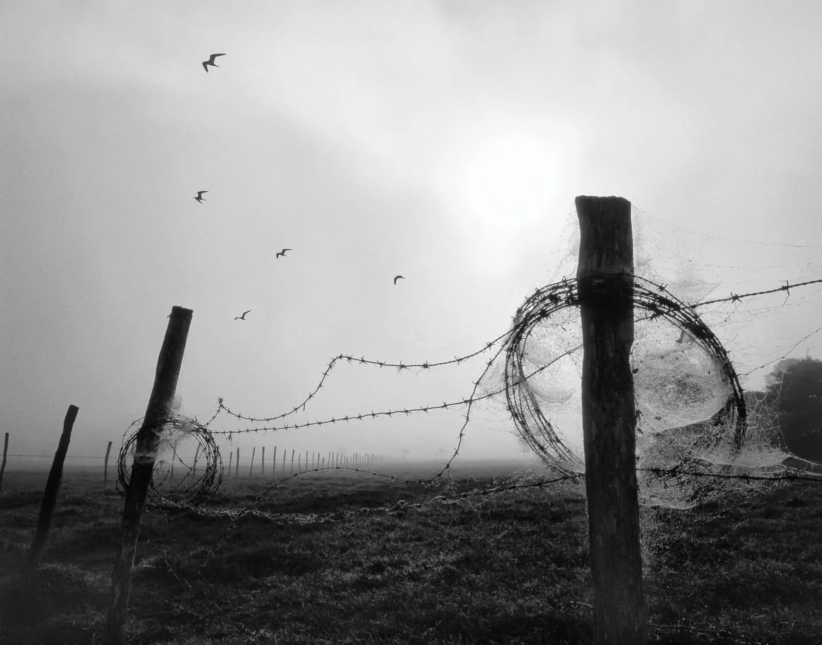 Palizada en Rancho Arriba. 2005