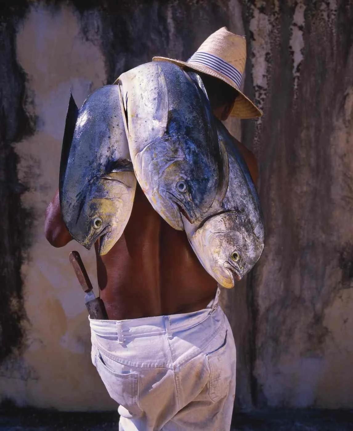 Pescador de Montecristi. 2007