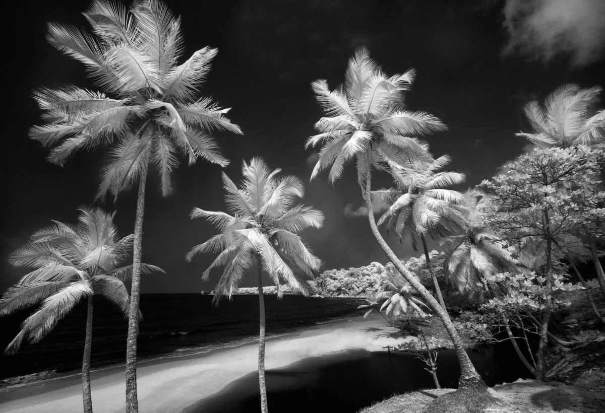 Playa La Preciosa, Río San Juan. 2009