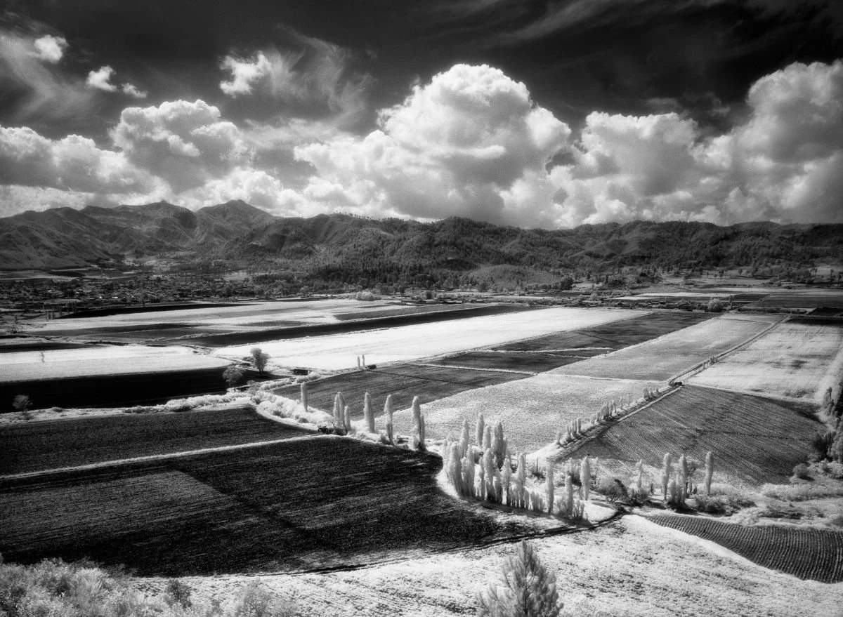 Valle de Constanza, Serie Caribe Infrarojo. 1991