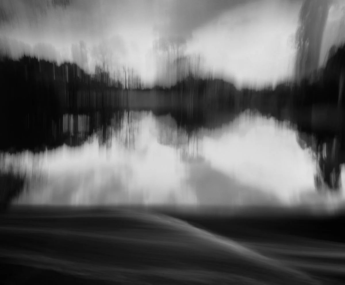 Paisaje desde el Automóvil.2009