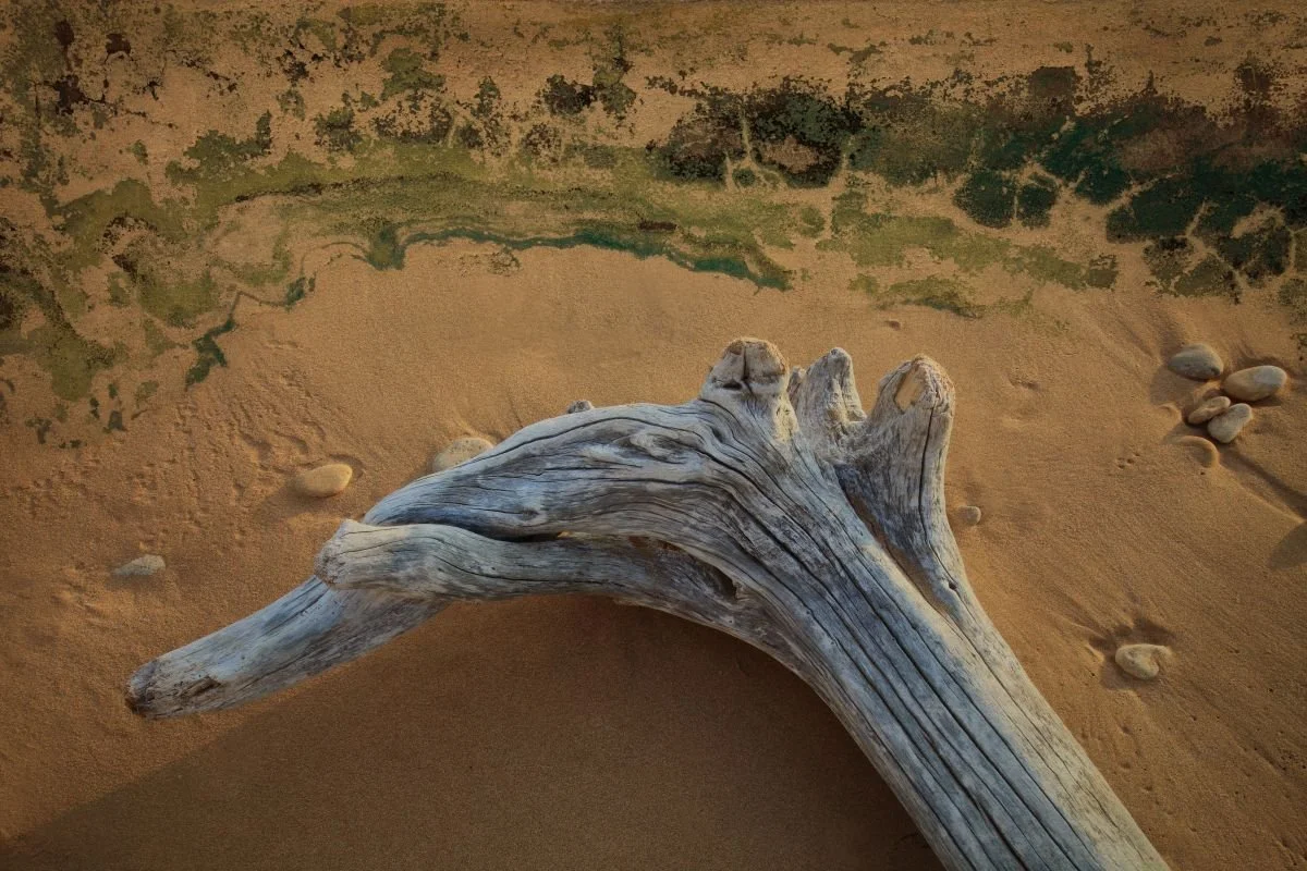 Formas Costeras 2. 2012