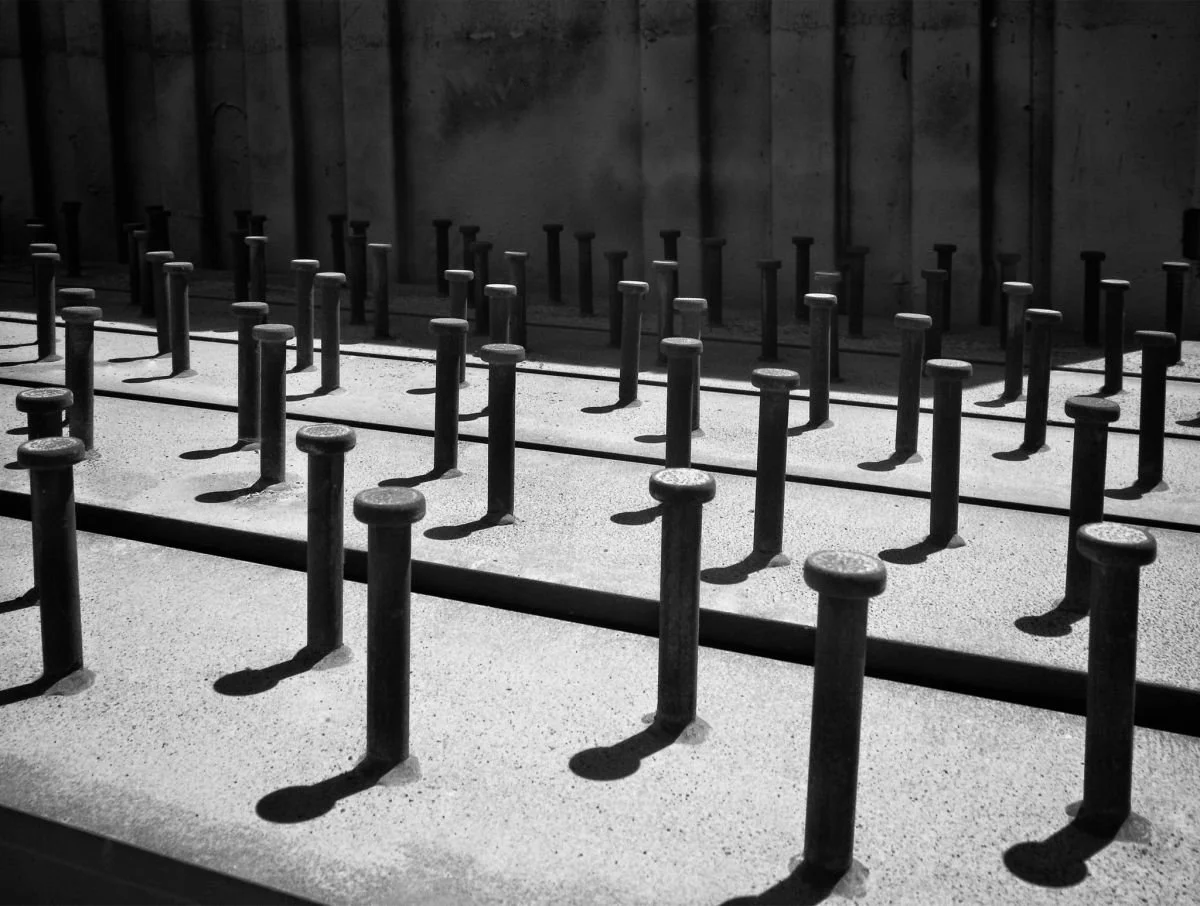 Bosque de Clavos. 2010