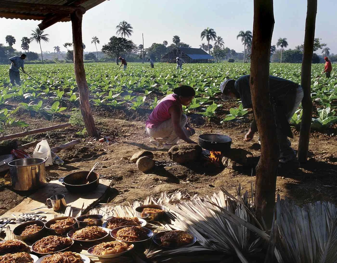 Desayuno Capesino, Jacagua. 2005