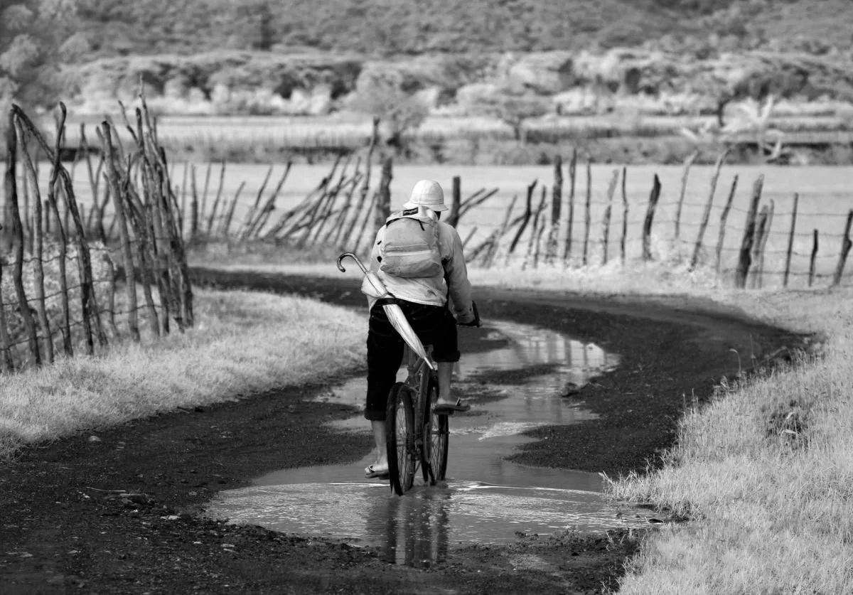 Trabajador de Arroz, Jicomé. 2009