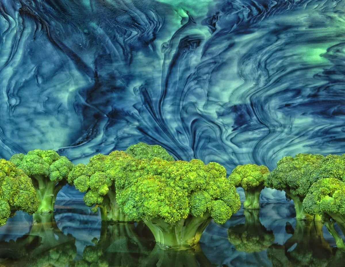 Brócoli contra Vitrales. 2006