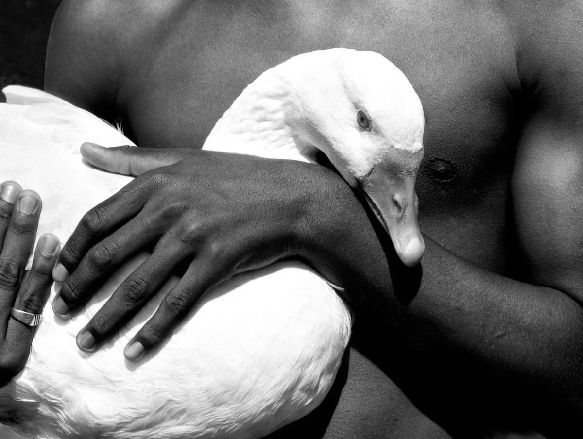 Ganso y su Criador. 2000