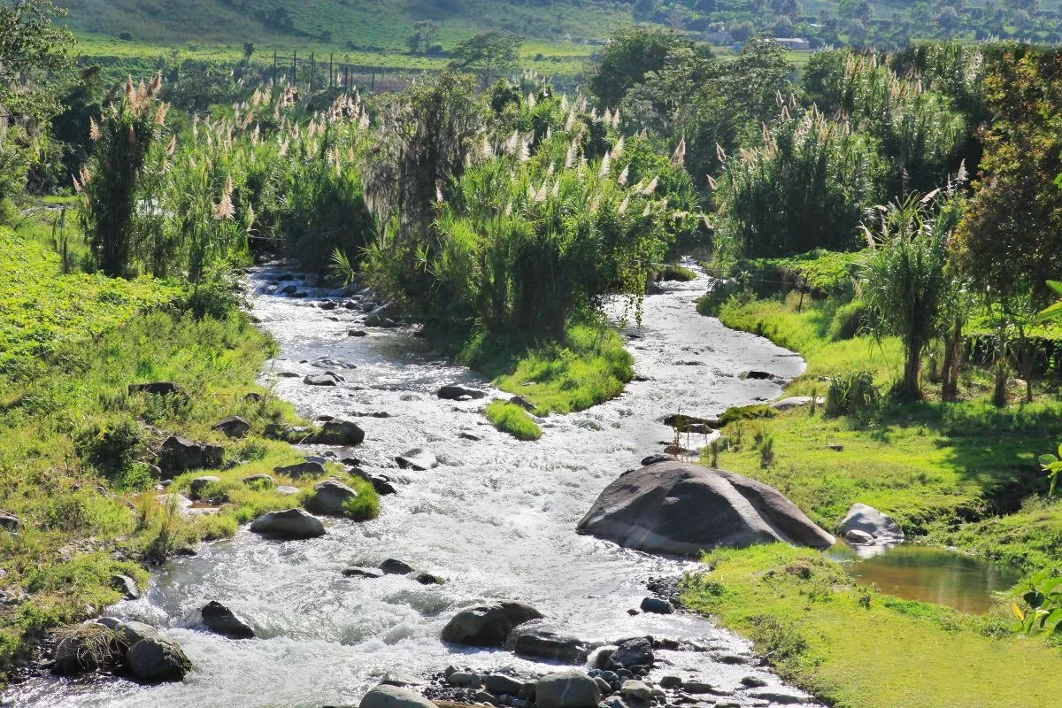 Río Yaque, Ciénaga de Manabao. 2018