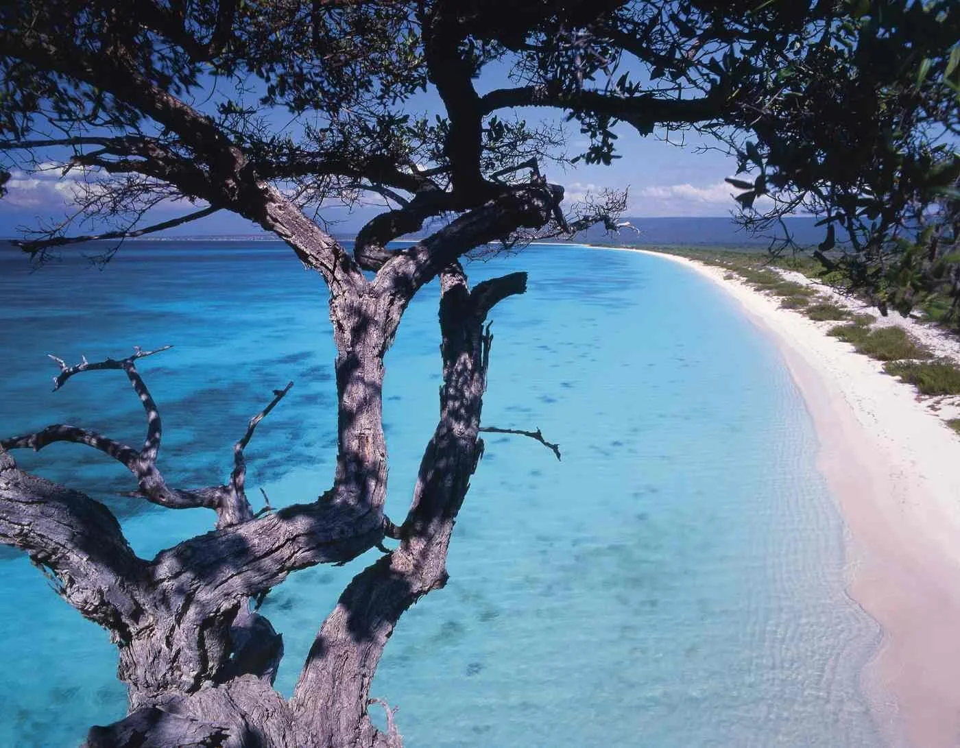 Bahía de Las Águilas, Pedernales. 2007 
