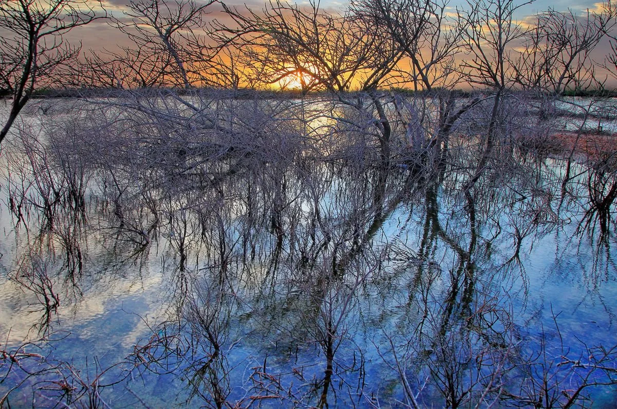 Lagunas de Lluvia, Monte Cristi. 2022