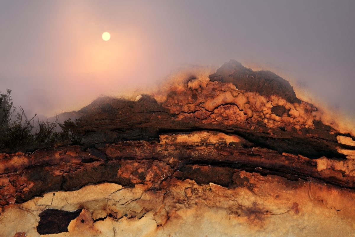 Paisaje del Basurero. 2009