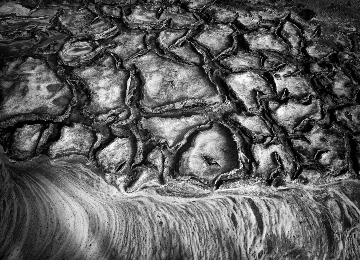 De la Piel de la Tierra, Manzanillo. 2009