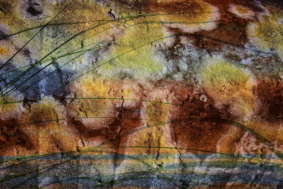 De la Yerba y el Liquen. 2008