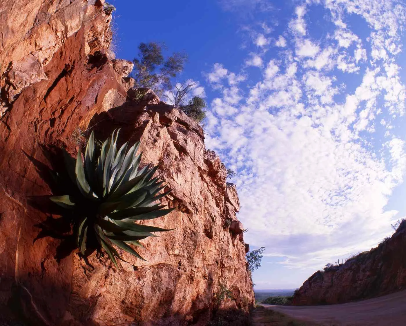 Paisaje de Cabo Rojo, Pedernales. 2007