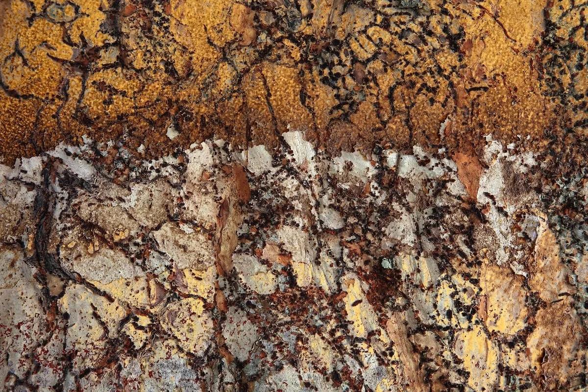 Detalle Costero. 2011