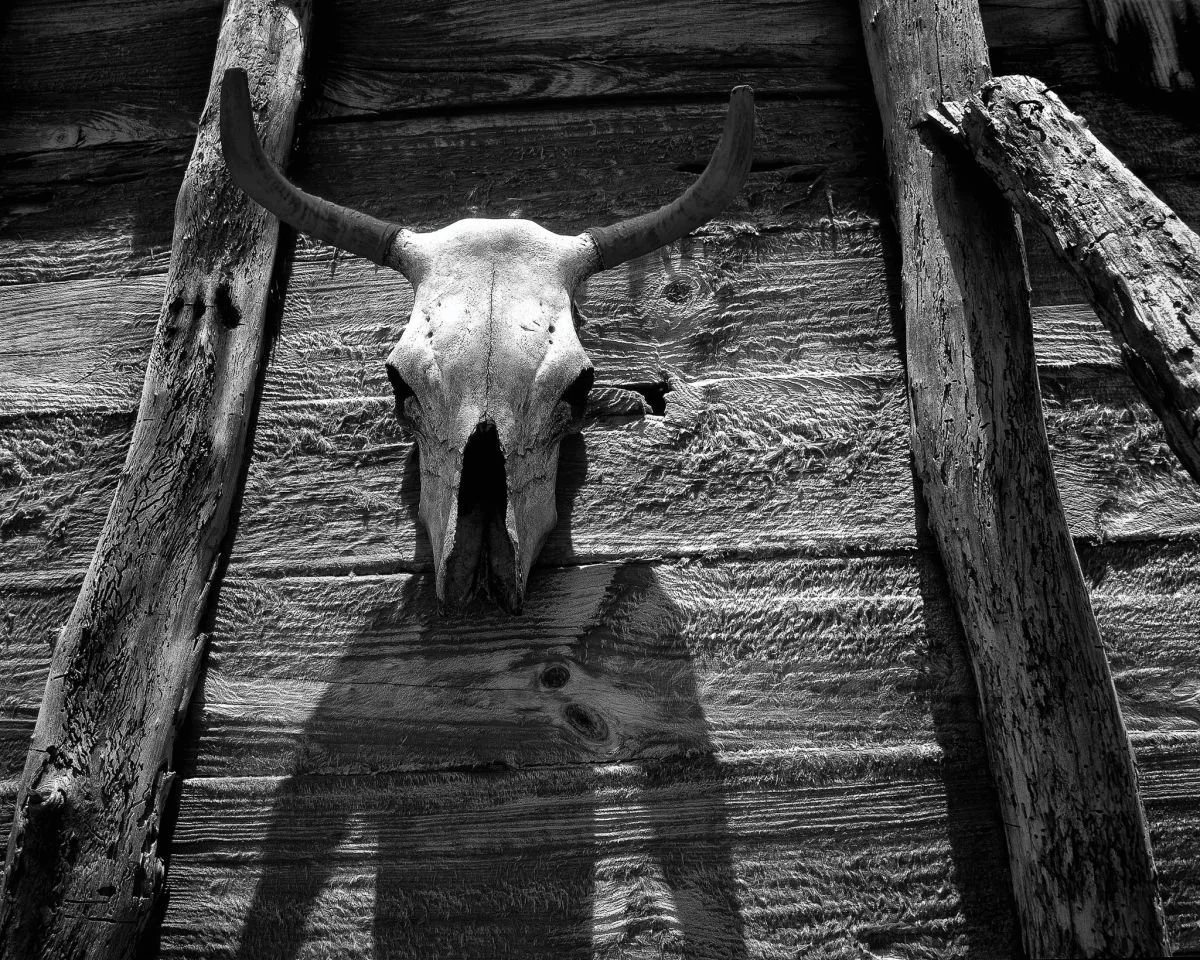 Del Espíritu del Salitral. 1999