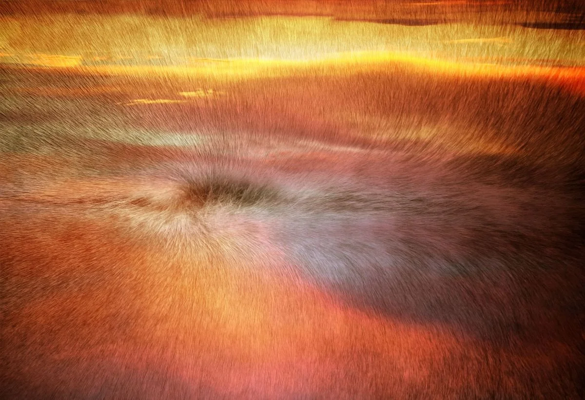 La Piel de la Tarde. 2014