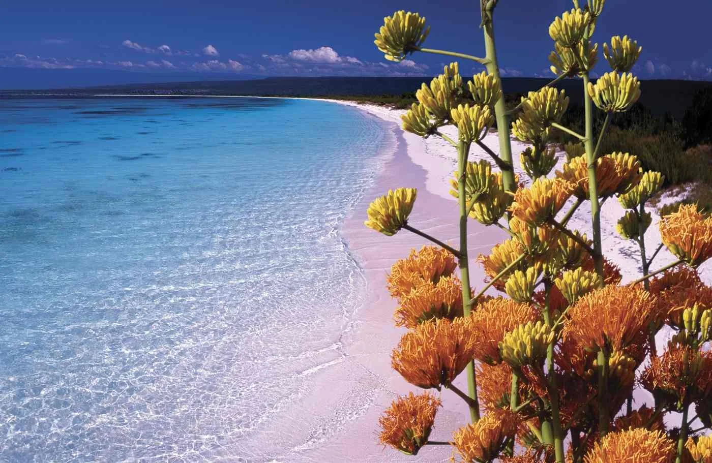Bahía de Las Águilas, Pedernales. 2005