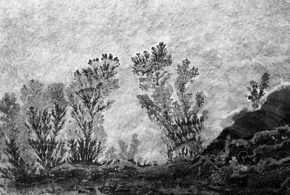 Paisaje en Piedra Caliza, Santiago. 2009