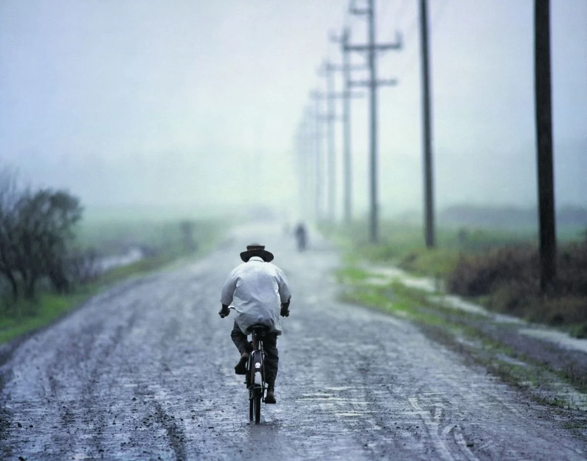 Ochenta Años Bajo la Lluvia
