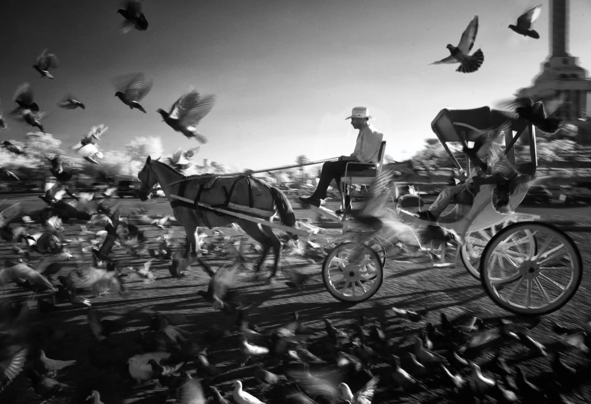 Sábado por la Tarde en Santiago. 2010