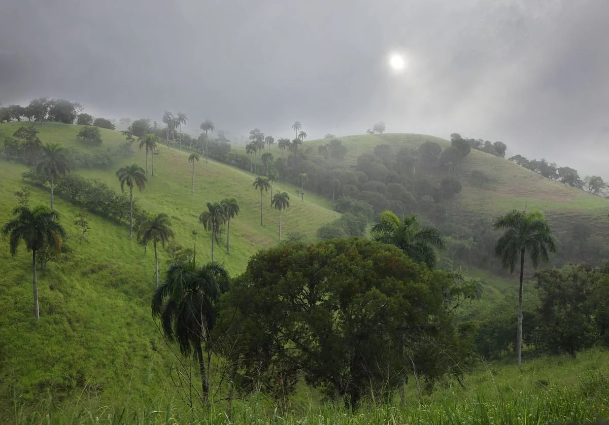 Paisaje de Jánico. 2014