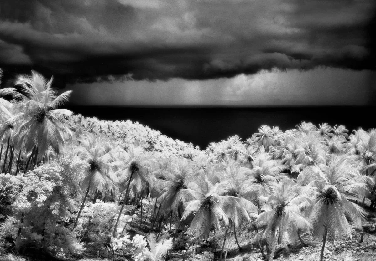 Tormenta sobre Samaná. 1998