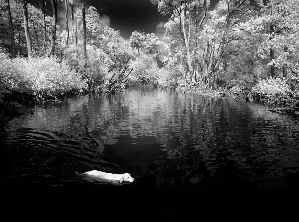 En Laguna Gri-Gri. 2009