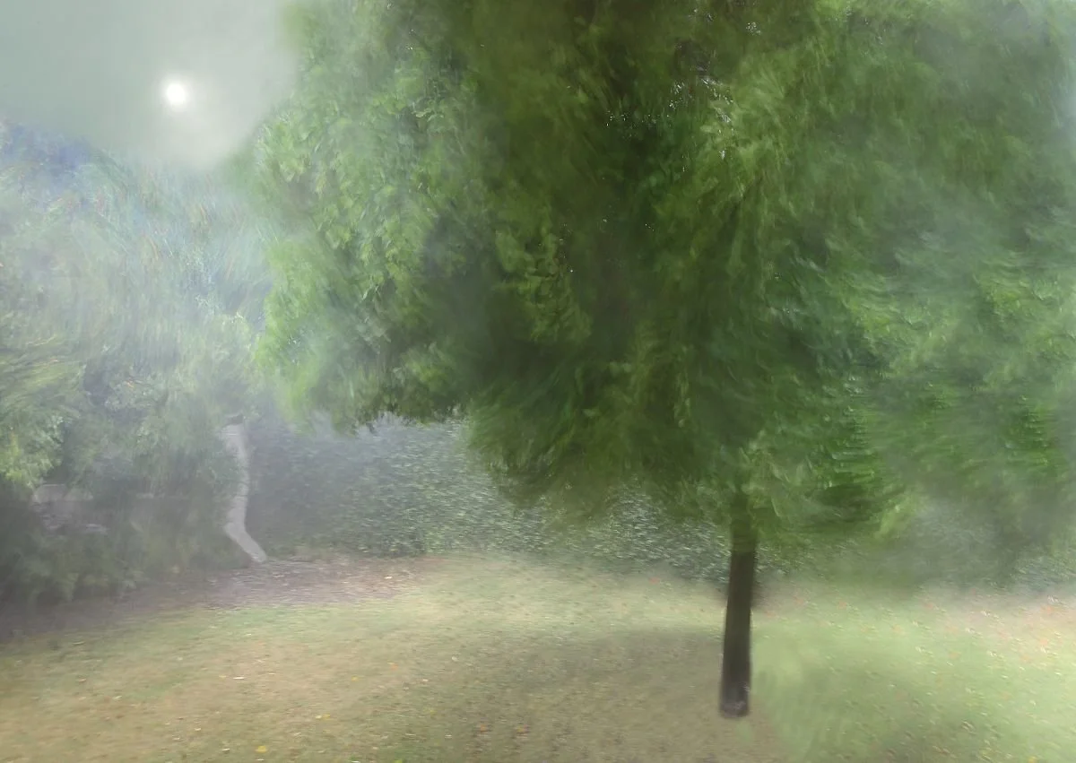 Tormenta en mi Patio, Santiago. 2018