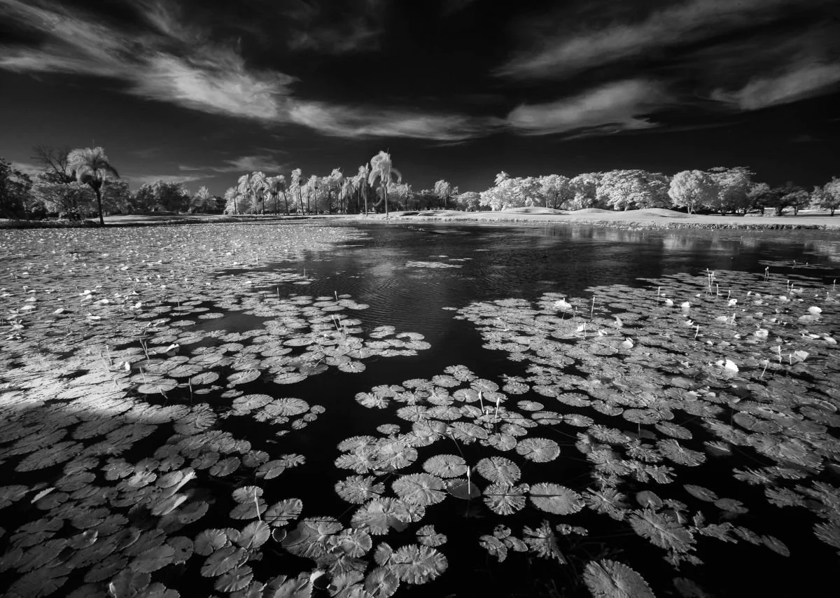 Laguna de Playa Dorada, Puerto Plata. 2008