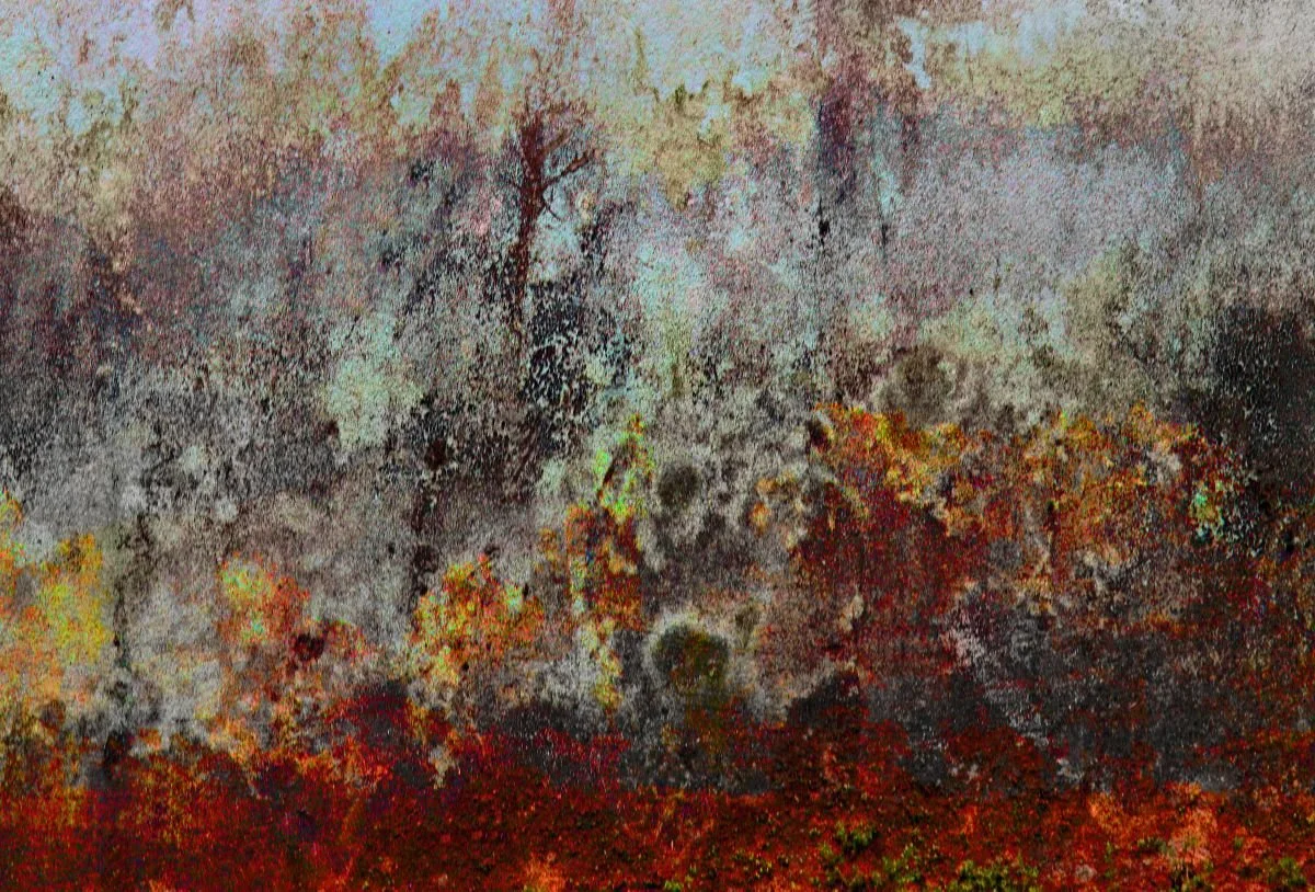 Del Último Carnaval. 2013