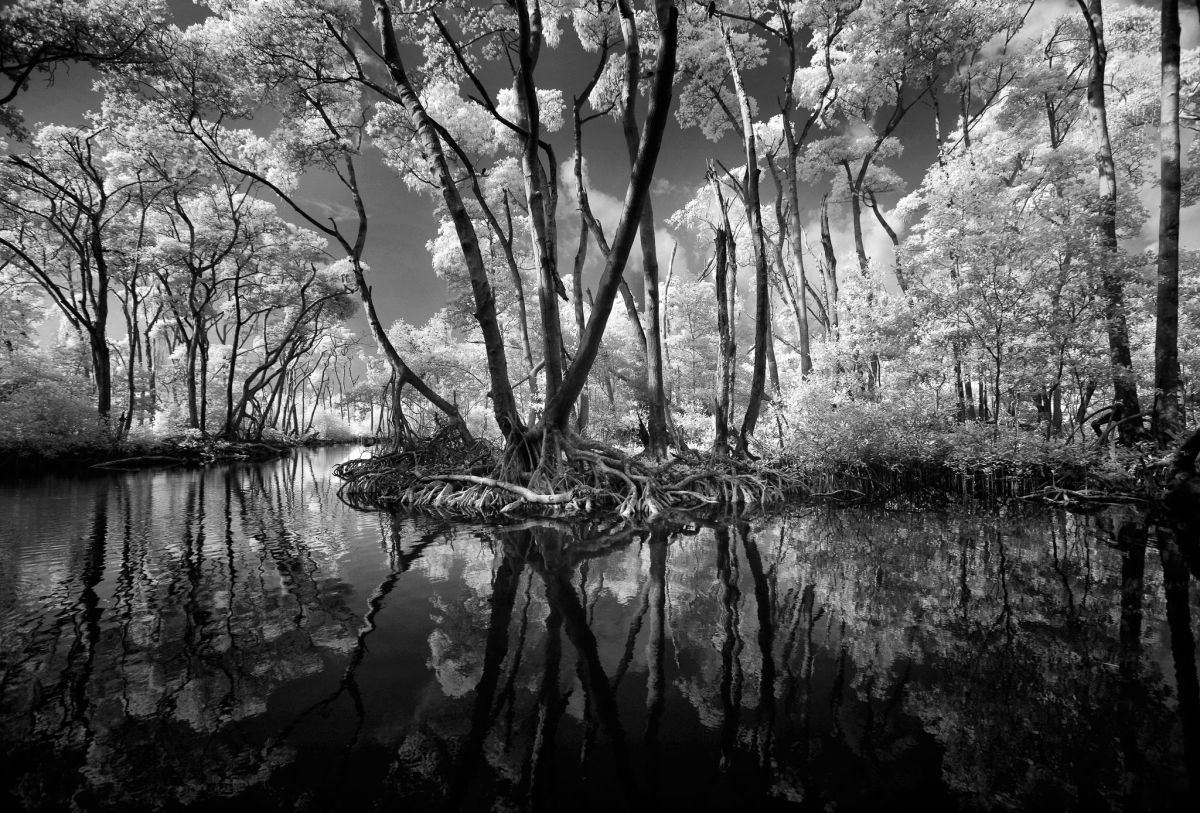 Laguna Gri-Gri, Río San Juan 2. 2009