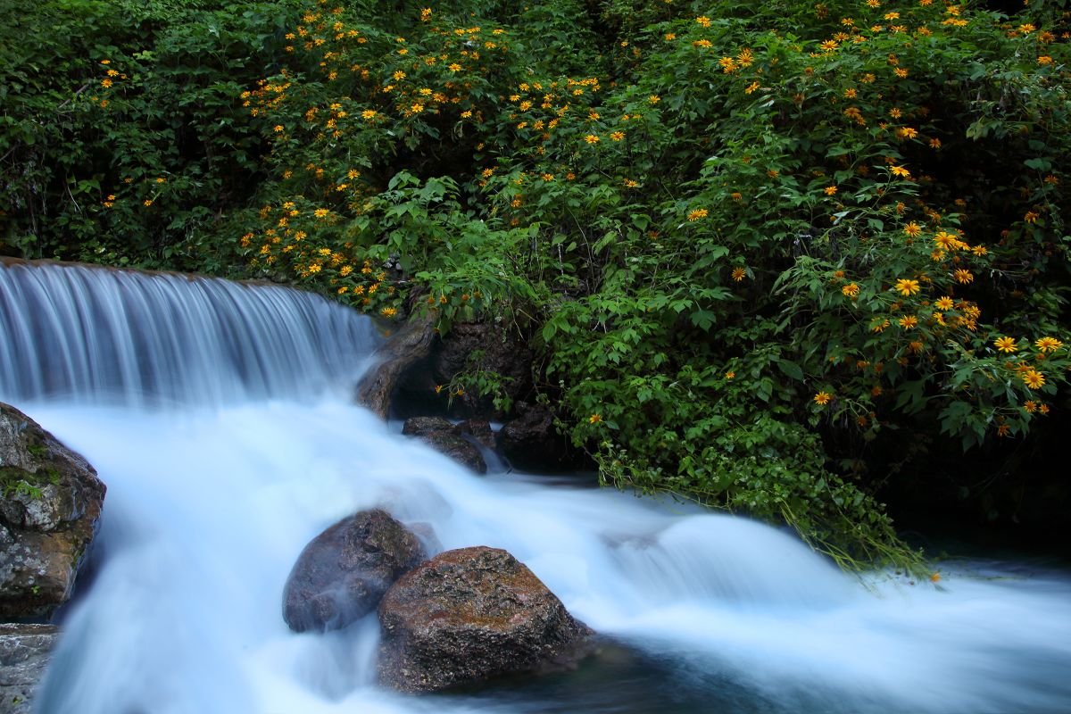Río San Rafael, Barahona 1. 2020